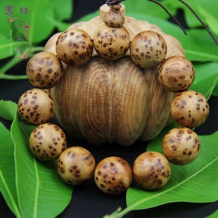 xc sports:Windows 10标签页日趋完善:玩法相当丰富(图3) xc sports