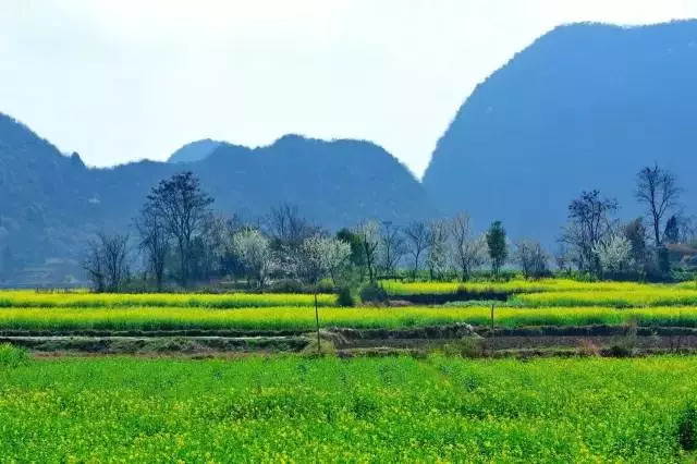 xc体育_中国人民银行首次公布双11数据:14820.70亿元(图1) xc体育