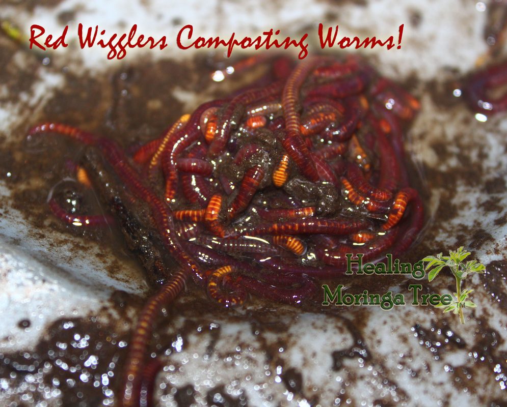 监理工程师的事情职责是什么? 作为一个监理工程师辛苦吗?:xc体育(图5) xc sports