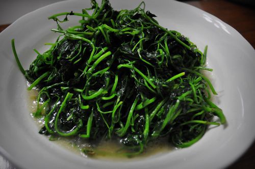 【xc sports】过年突然想结婚 怎么办?(图3) xc体育