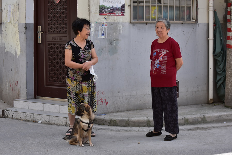 xc sports_一个典型的新能源物流车运营商要思考的五大问题(图3) xc体育