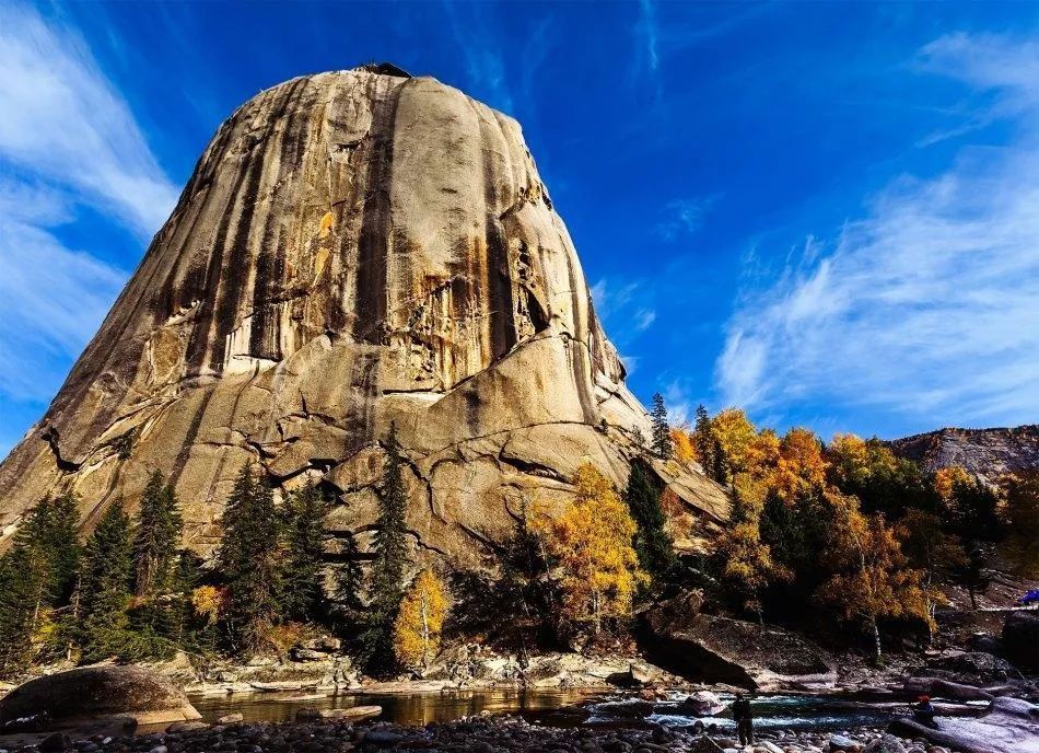 谁将成为新能源汽车的主流?:xc体育(图2) xc sports